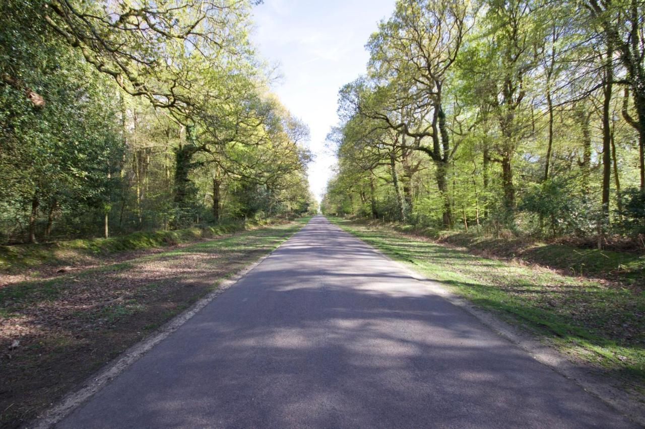 Avondale New Forest Godshill  Exteriör bild