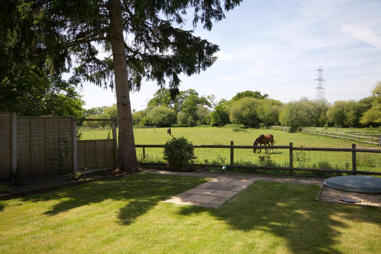Avondale New Forest Godshill  Exteriör bild