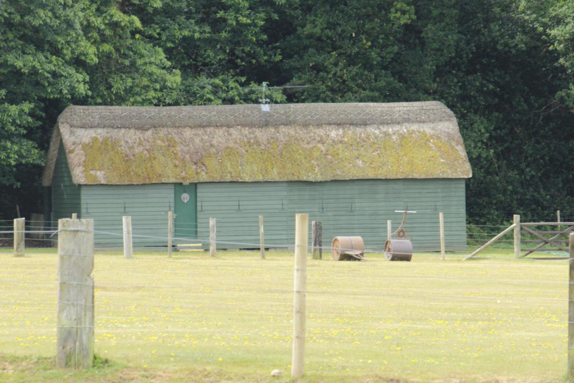 Avondale New Forest Godshill  Exteriör bild
