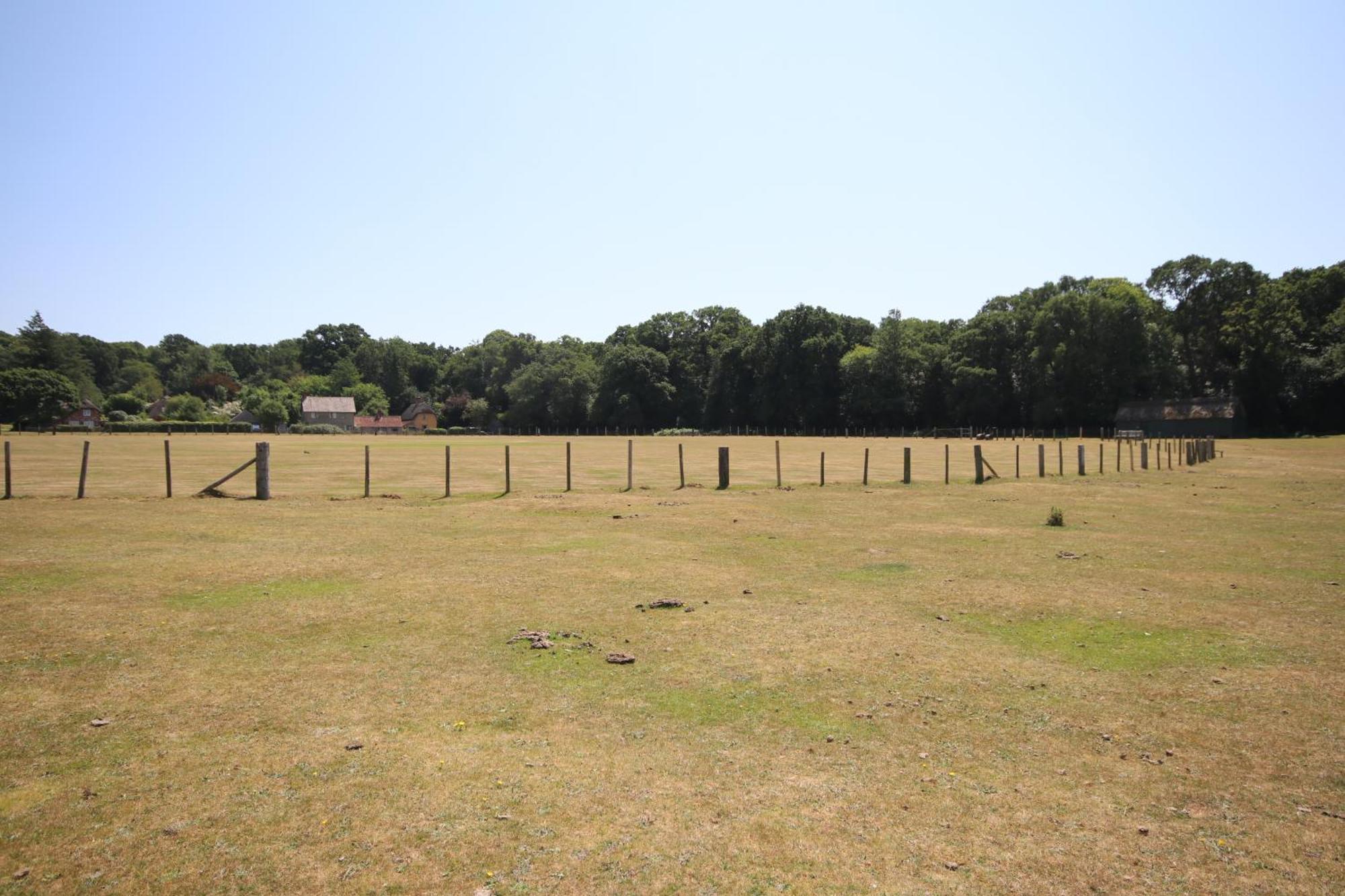 Avondale New Forest Godshill  Exteriör bild
